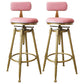 Glam Rotatable Liftable Counter Stool Iron Dessert Shop Bar Stool with Velvet Cushion Pink With Back 2 Piece Set Clearhalo 'Bar Furniture' 'Bar Stools' 'bar_stools' 'furn' 'furn_bar_stools' 'furniture_bar_stools' 'Kitchen & Dining Furniture' 'kitchen&dining_furn' 'kitchen' 'kitchen_furn' Furniture' 4471135