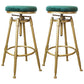Glam Rotatable Liftable Counter Stool Iron Dessert Shop Bar Stool with Velvet Cushion Green Backless 2 Piece Set Clearhalo 'Bar Furniture' 'Bar Stools' 'bar_stools' 'furn' 'furn_bar_stools' 'furniture_bar_stools' 'Kitchen & Dining Furniture' 'kitchen&dining_furn' 'kitchen' 'kitchen_furn' Furniture' 4471139