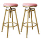 Glam Rotatable Liftable Counter Stool Iron Dessert Shop Bar Stool with Velvet Cushion Pink Backless 2 Piece Set Clearhalo 'Bar Furniture' 'Bar Stools' 'bar_stools' 'furn' 'furn_bar_stools' 'furniture_bar_stools' 'Kitchen & Dining Furniture' 'kitchen&dining_furn' 'kitchen' 'kitchen_furn' Furniture' 4471142