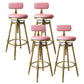 Glam Rotatable Liftable Counter Stool Iron Dessert Shop Bar Stool with Velvet Cushion Pink With Back 4 Piece Set Clearhalo 'Bar Furniture' 'Bar Stools' 'bar_stools' 'furn' 'furn_bar_stools' 'furniture_bar_stools' 'Kitchen & Dining Furniture' 'kitchen&dining_furn' 'kitchen' 'kitchen_furn' Furniture' 4471143