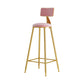 Glam Armless Backrest Counter Stool Iron Cafe Bar Stool with Pedal and Velvet Cushion Pink 1 Piece Clearhalo 'Bar Furniture' 'Bar Stools' 'bar_stools' 'furn' 'furn_bar_stools' 'furniture_bar_stools' 'Kitchen & Dining Furniture' 'kitchen&dining_furn' 'kitchen' 'kitchen_furn' Furniture' 4471400