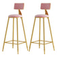 Glam Armless Backrest Counter Stool Iron Cafe Bar Stool with Pedal and Velvet Cushion Pink 2 Piece Set Clearhalo 'Bar Furniture' 'Bar Stools' 'bar_stools' 'furn' 'furn_bar_stools' 'furniture_bar_stools' 'Kitchen & Dining Furniture' 'kitchen&dining_furn' 'kitchen' 'kitchen_furn' Furniture' 4471411