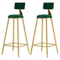 Glam Armless Backrest Counter Stool Iron Cafe Bar Stool with Pedal and Velvet Cushion Green 2 Piece Set Clearhalo 'Bar Furniture' 'Bar Stools' 'bar_stools' 'furn' 'furn_bar_stools' 'furniture_bar_stools' 'Kitchen & Dining Furniture' 'kitchen&dining_furn' 'kitchen' 'kitchen_furn' Furniture' 4471414