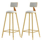 Glam Armless Backrest Counter Stool Iron Cafe Bar Stool with Pedal and Velvet Cushion White 2 Piece Set Clearhalo 'Bar Furniture' 'Bar Stools' 'bar_stools' 'furn' 'furn_bar_stools' 'furniture_bar_stools' 'Kitchen & Dining Furniture' 'kitchen&dining_furn' 'kitchen' 'kitchen_furn' Furniture' 4471415