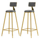 Glam Armless Backrest Counter Stool Iron Cafe Bar Stool with Pedal and Velvet Cushion Gray 2 Piece Set Clearhalo 'Bar Furniture' 'Bar Stools' 'bar_stools' 'furn' 'furn_bar_stools' 'furniture_bar_stools' 'Kitchen & Dining Furniture' 'kitchen&dining_furn' 'kitchen' 'kitchen_furn' Furniture' 4471417