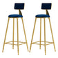Glam Armless Backrest Counter Stool Iron Cafe Bar Stool with Pedal and Velvet Cushion Blue 2 Piece Set Clearhalo 'Bar Furniture' 'Bar Stools' 'bar_stools' 'furn' 'furn_bar_stools' 'furniture_bar_stools' 'Kitchen & Dining Furniture' 'kitchen&dining_furn' 'kitchen' 'kitchen_furn' Furniture' 4471418
