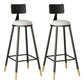 Industrial Style Bar Stool Round Seat Iron Legs Barstool for Kitchen Bar White 2 Piece Set Clearhalo 'Bar Furniture' 'Bar Stools' 'bar_stools' 'furn' 'furn_bar_stools' 'furniture_bar_stools' 'Kitchen & Dining Furniture' 'kitchen&dining_furn' 'kitchen' 'kitchen_furn' Furniture' 4471916