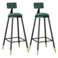 Industrial Style Bar Stool Round Seat Iron Legs Barstool for Kitchen Bar Blackish Green 2 Piece Set Clearhalo 'Bar Furniture' 'Bar Stools' 'bar_stools' 'furn' 'furn_bar_stools' 'furniture_bar_stools' 'Kitchen & Dining Furniture' 'kitchen&dining_furn' 'kitchen' 'kitchen_furn' Furniture' 4471921