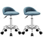 Modern Rotatable Liftable Counter Stool Steel Barber Shop Bar Stool with Cushion Blue 2 Piece Set Clearhalo 'Bar Furniture' 'Bar Stools' 'bar_stools' 'furn' 'furn_bar_stools' 'furniture_bar_stools' 'Kitchen & Dining Furniture' 'kitchen&dining_furn' 'kitchen' 'kitchen_furn' Furniture' 4482421
