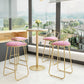 White Glam Style Ropund Table in Iron and Wood Table Milk Tea Shop Bar Table 23.6"L x 23.6"W x 41.3"H Wood Without Chairs Clearhalo 'Bar Furniture' 'Bar Tables' 'bar_tables' 'furn' 'furn_bar_tables' 'Furniture' 'furniture_bar_tables' 'Kitchen & Dining Furniture' 4482882