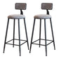 Modern Armless Backrest Counter Stool Iron Cafe Bar Stool with Velvet Cushion and Pedal Gray 2 Piece Set Bar Stool(30"H) Clearhalo 'Bar Furniture' 'Bar Stools' 'bar_stools' 'furn' 'furn_bar_stools' 'furniture_bar_stools' 'Kitchen & Dining Furniture' 'kitchen&dining_furn' 'kitchen' 'kitchen_furn' Furniture' 4483007