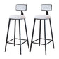 Modern Armless Backrest Counter Stool Iron Cafe Bar Stool with Velvet Cushion and Pedal White 2 Piece Set Bar Stool(30"H) Clearhalo 'Bar Furniture' 'Bar Stools' 'bar_stools' 'furn' 'furn_bar_stools' 'furniture_bar_stools' 'Kitchen & Dining Furniture' 'kitchen&dining_furn' 'kitchen' 'kitchen_furn' Furniture' 4483016