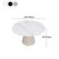 Modern Round Dining Table Stone Top Table with Pedestal Base Clearhalo ' dining_table' 'Dining Tables & Seating' 'Dining Tables' 'furn' 'furn_dining_table' 'Furniture' 'furniture_dining_table' 'Kitchen & Dining Furniture' 'kitchen&dining_furn' 'kitchen' 'kitchen_dining_table' 4491444