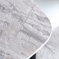 Sintered Stone Dining Table Luxury Style Pedestal Table for Dining Room Clearhalo ' dining_table' 'Dining Tables & Seating' 'Dining Tables' 'furn' 'furn_dining_table' 'Furniture' 'furniture_dining_table' 'Kitchen & Dining Furniture' 'kitchen&dining_furn' 'kitchen' 'kitchen_dining_table' 4491557