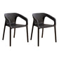 Plastic Scandinavian Kitchen Dining Room Armchair Solid Back Chair Black 2 Piece Set Clearhalo ' kitchen&dining_furn' 'Dining Chairs' 'Dining Tables & Seating' 'dining_chair' 'furn' 'furn_dining_chair' 'Furniture' 'furniture_dining_chair' 'Kitchen & Dining Furniture' 'kitchen' 4491826