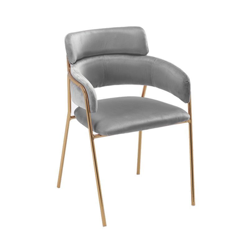 Glam Velvet Dining Room Chairs Open Back Dining Side Chair for Restaurant Use Dark Gray 1 Piece Clearhalo ' kitchen&dining_furn' 'Dining Chairs' 'Dining Tables & Seating' 'dining_chair' 'furn' 'furn_dining_chair' 'Furniture' 'furniture_dining_chair' 'Kitchen & Dining Furniture' 'kitchen' 4492011