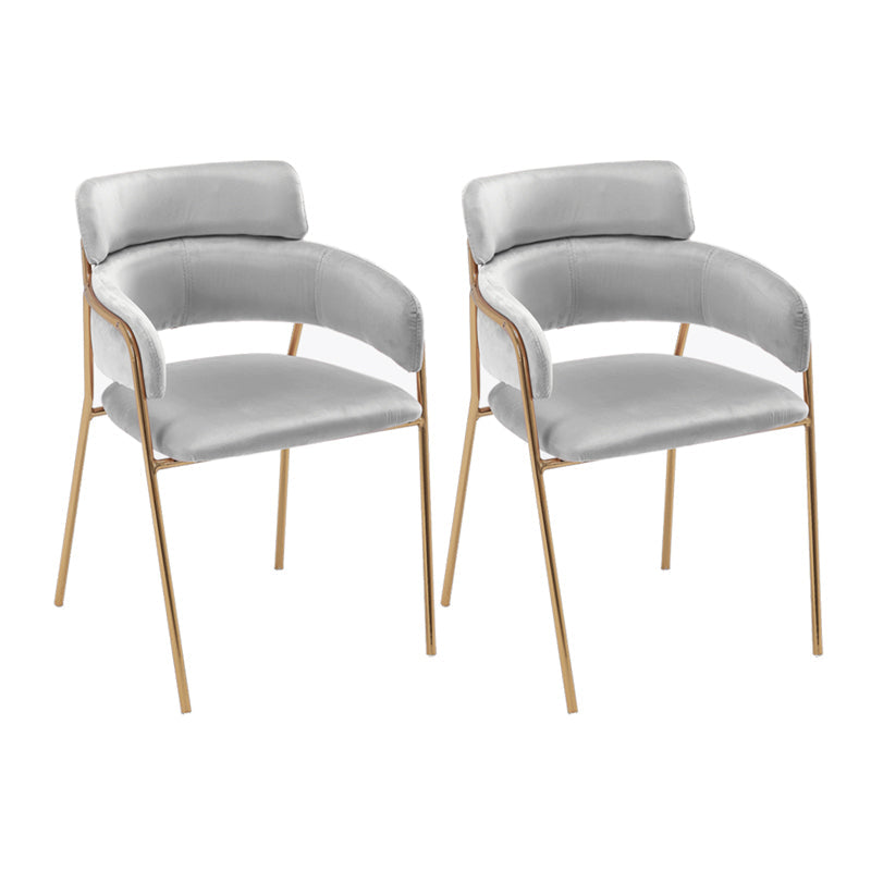 Glam Velvet Dining Room Chairs Open Back Dining Side Chair for Restaurant Use Light Gray 2 Piece Set Clearhalo ' kitchen&dining_furn' 'Dining Chairs' 'Dining Tables & Seating' 'dining_chair' 'furn' 'furn_dining_chair' 'Furniture' 'furniture_dining_chair' 'Kitchen & Dining Furniture' 'kitchen' 4492019