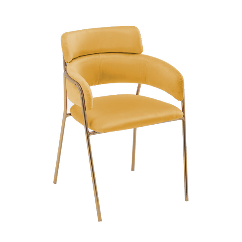 Glam Velvet Dining Room Chairs Open Back Dining Side Chair for Restaurant Use Ginger 1 Piece Clearhalo ' kitchen&dining_furn' 'Dining Chairs' 'Dining Tables & Seating' 'dining_chair' 'furn' 'furn_dining_chair' 'Furniture' 'furniture_dining_chair' 'Kitchen & Dining Furniture' 'kitchen' 4492023