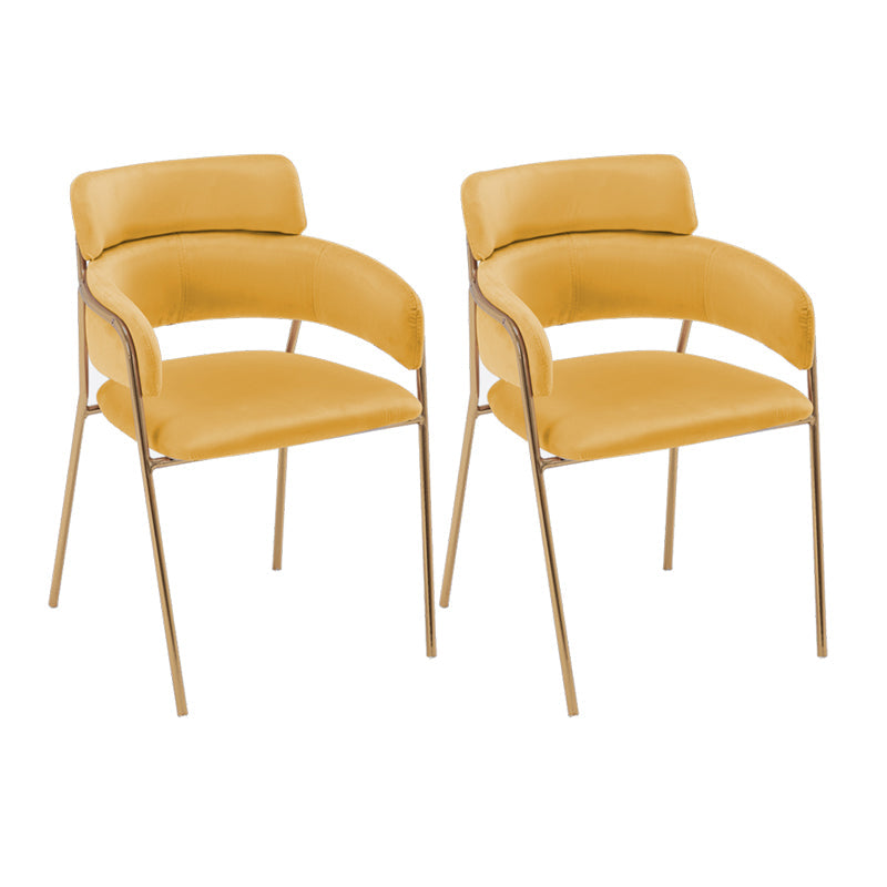 Glam Velvet Dining Room Chairs Open Back Dining Side Chair for Restaurant Use Ginger 2 Piece Set Clearhalo ' kitchen&dining_furn' 'Dining Chairs' 'Dining Tables & Seating' 'dining_chair' 'furn' 'furn_dining_chair' 'Furniture' 'furniture_dining_chair' 'Kitchen & Dining Furniture' 'kitchen' 4492025