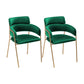 Glam Velvet Dining Room Chairs Open Back Dining Side Chair for Restaurant Use Blackish Green 2 Piece Set Clearhalo ' kitchen&dining_furn' 'Dining Chairs' 'Dining Tables & Seating' 'dining_chair' 'furn' 'furn_dining_chair' 'Furniture' 'furniture_dining_chair' 'Kitchen & Dining Furniture' 'kitchen' 4492030
