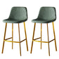 Industrial Style Bar-stool Bucket Seat Metal Legs for Kitchen Bar Green Gold 2 Piece Set Clearhalo 'Bar Furniture' 'Bar Stools' 'bar_stools' 'furn' 'furn_bar_stools' 'furniture_bar_stools' 'Kitchen & Dining Furniture' 'kitchen&dining_furn' 'kitchen' 'kitchen_furn' Furniture' 4493954