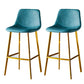 Industrial Style Bar-stool Bucket Seat Metal Legs for Kitchen Bar Lake Blue Gold 2 Piece Set Clearhalo 'Bar Furniture' 'Bar Stools' 'bar_stools' 'furn' 'furn_bar_stools' 'furniture_bar_stools' 'Kitchen & Dining Furniture' 'kitchen&dining_furn' 'kitchen' 'kitchen_furn' Furniture' 4493960