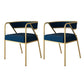 Glam Velvet Dining Room Chairs Metal Dining Side Arm Chair for Restaurant Use Blue Gold 2 Piece Set Clearhalo ' kitchen&dining_furn' 'Dining Chairs' 'Dining Tables & Seating' 'dining_chair' 'furn' 'furn_dining_chair' 'Furniture' 'furniture_dining_chair' 'Kitchen & Dining Furniture' 'kitchen' 4502703