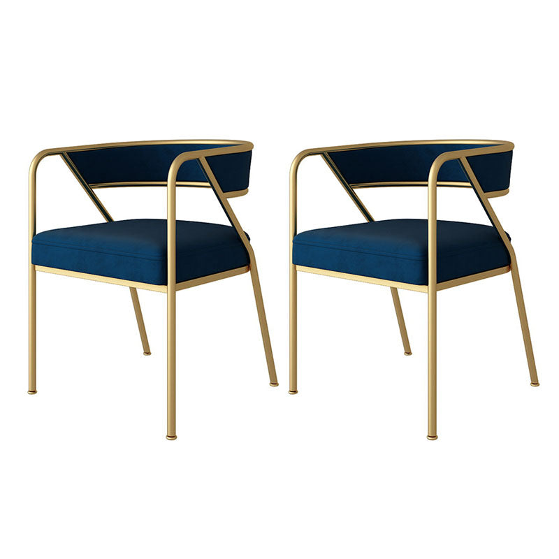 Glam Velvet Dining Room Chairs Metal Dining Side Arm Chair for Restaurant Use Blue Gold 2 Piece Set Clearhalo ' kitchen&dining_furn' 'Dining Chairs' 'Dining Tables & Seating' 'dining_chair' 'furn' 'furn_dining_chair' 'Furniture' 'furniture_dining_chair' 'Kitchen & Dining Furniture' 'kitchen' 4502703