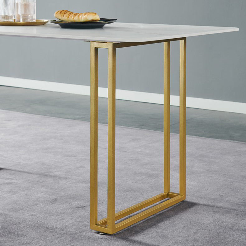 Traditional Luxury Rectangle Furniture Double Pedestal Dining Site Table Clearhalo ' dining_table' 'Dining Tables & Seating' 'Dining Tables' 'furn' 'furn_dining_table' 'Furniture' 'furniture_dining_table' 'Kitchen & Dining Furniture' 'kitchen&dining_furn' 'kitchen' 'kitchen_dining_table' 4510812