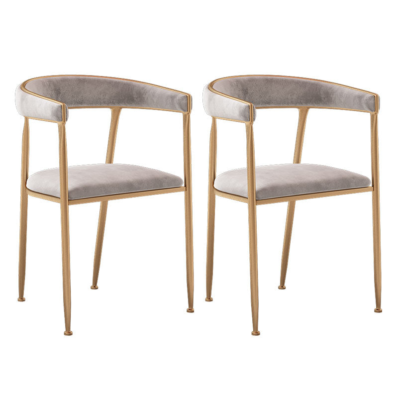 Glam Velvet Dining Room Chairs Metal Dining Side Arm Chairs for Restaurant Use Light Gray 2 Piece Set Clearhalo ' kitchen&dining_furn' 'Dining Chairs' 'Dining Tables & Seating' 'dining_chair' 'furn' 'furn_dining_chair' 'Furniture' 'furniture_dining_chair' 'Kitchen & Dining Furniture' 'kitchen' 4511330