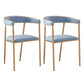 Glam Velvet Dining Room Chairs Metal Dining Side Arm Chairs for Restaurant Use Light Blue 2 Piece Set Clearhalo ' kitchen&dining_furn' 'Dining Chairs' 'Dining Tables & Seating' 'dining_chair' 'furn' 'furn_dining_chair' 'Furniture' 'furniture_dining_chair' 'Kitchen & Dining Furniture' 'kitchen' 4511332
