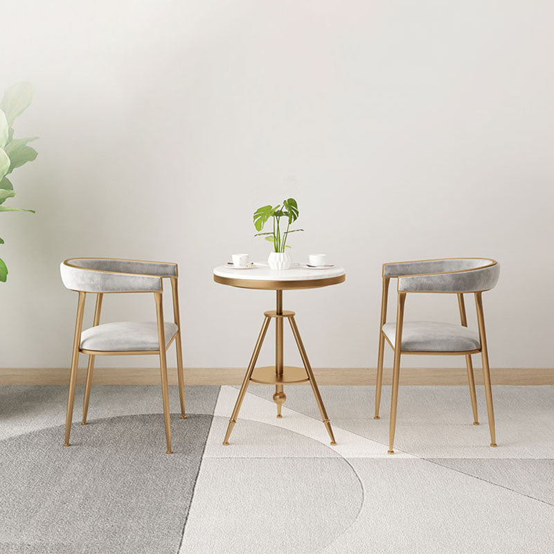 Glam Velvet Dining Room Chairs Metal Dining Side Arm Chairs for Restaurant Use Clearhalo ' kitchen&dining_furn' 'Dining Chairs' 'Dining Tables & Seating' 'dining_chair' 'furn' 'furn_dining_chair' 'Furniture' 'furniture_dining_chair' 'Kitchen & Dining Furniture' 'kitchen' 4511333