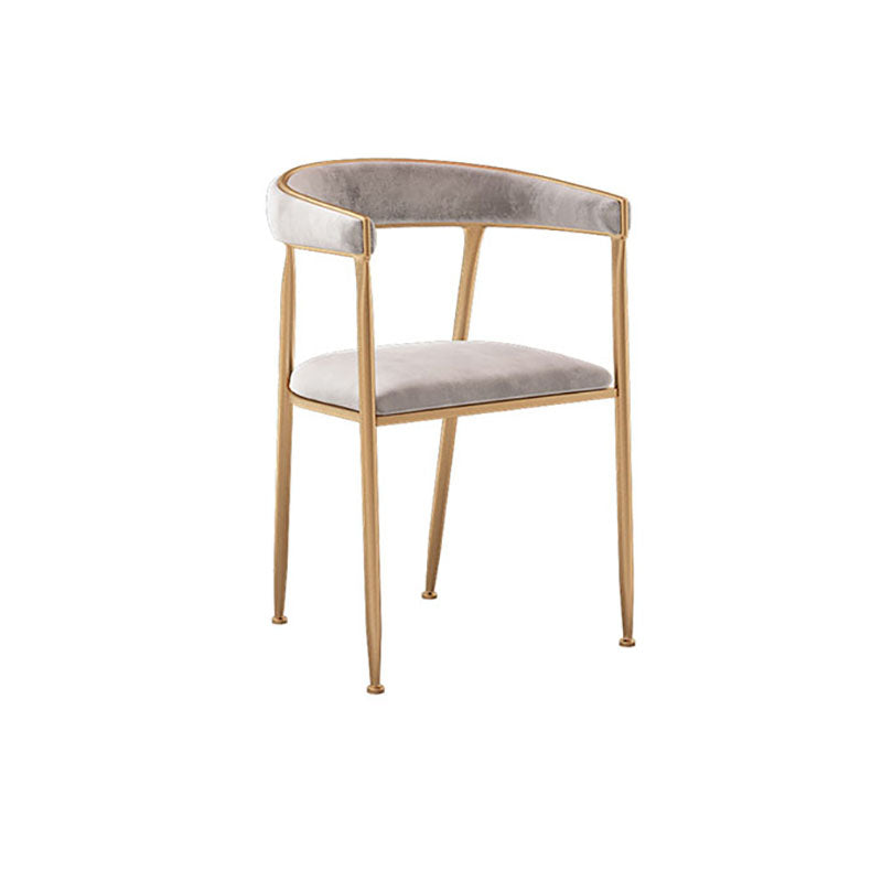 Glam Velvet Dining Room Chairs Metal Dining Side Arm Chairs for Restaurant Use Clearhalo ' kitchen&dining_furn' 'Dining Chairs' 'Dining Tables & Seating' 'dining_chair' 'furn' 'furn_dining_chair' 'Furniture' 'furniture_dining_chair' 'Kitchen & Dining Furniture' 'kitchen' 4511335