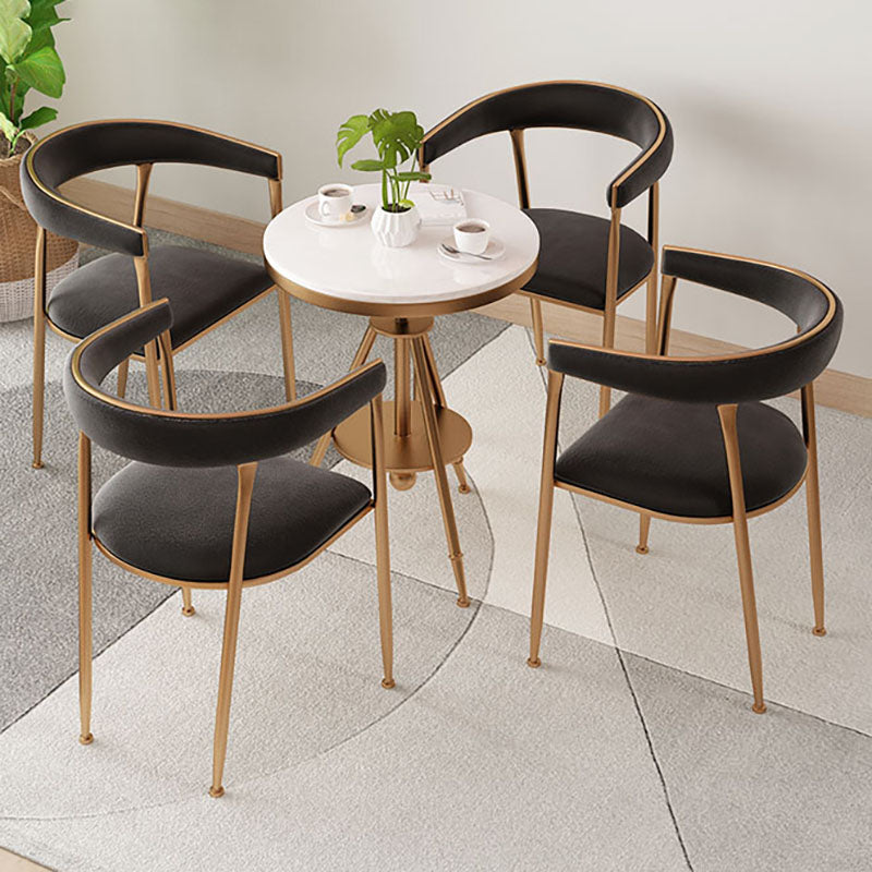 Glam Velvet Dining Room Chairs Metal Dining Side Arm Chairs for Restaurant Use Clearhalo ' kitchen&dining_furn' 'Dining Chairs' 'Dining Tables & Seating' 'dining_chair' 'furn' 'furn_dining_chair' 'Furniture' 'furniture_dining_chair' 'Kitchen & Dining Furniture' 'kitchen' 4511339