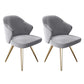 Glam Metal Dining Arm Chair Upholstered Side Chairs for Home Use Grey 2 Piece Set Clearhalo ' kitchen&dining_furn' 'Dining Chairs' 'Dining Tables & Seating' 'dining_chair' 'furn' 'furn_dining_chair' 'Furniture' 'furniture_dining_chair' 'Kitchen & Dining Furniture' 'kitchen' 4511486
