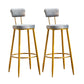 Modern Style Metal Bar Stool with Footrest Bistro Light Luxury Bar Stool Grey 2 Piece Set Clearhalo 'Bar Furniture' 'Bar Stools' 'bar_stools' 'furn' 'furn_bar_stools' 'furniture_bar_stools' 'Kitchen & Dining Furniture' 'kitchen&dining_furn' 'kitchen' 'kitchen_furn' Furniture' 4512303
