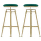 Glam Round Velvet Bar Stool Footrest Indoor Counter Stool with Gold Iron Legs Green Backless 2 Piece Set Clearhalo 'Bar Furniture' 'Bar Stools' 'bar_stools' 'furn' 'furn_bar_stools' 'furniture_bar_stools' 'Kitchen & Dining Furniture' 'kitchen&dining_furn' 'kitchen' 'kitchen_furn' Furniture' 4512333
