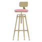Glam Round Velvet Bar Stool Footrest Indoor Counter Stool with Gold Iron Legs Pink With Back 1 Piece Clearhalo 'Bar Furniture' 'Bar Stools' 'bar_stools' 'furn' 'furn_bar_stools' 'furniture_bar_stools' 'Kitchen & Dining Furniture' 'kitchen&dining_furn' 'kitchen' 'kitchen_furn' Furniture' 4512348
