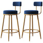 Glam Metal Upholstered Barstool Indoor Bar Stool with Low Back and Ron Legs Blue 2 Piece Set Clearhalo 'Bar Furniture' 'Bar Stools' 'bar_stools' 'furn' 'furn_bar_stools' 'furniture_bar_stools' 'Kitchen & Dining Furniture' 'kitchen&dining_furn' 'kitchen' 'kitchen_furn' Furniture' 4527545
