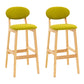 Modern Armless Backrest Counter Stool Wood Living Room Bar Stool with Cushion Fluorescent Green 2 Piece Set Clearhalo 'Bar Furniture' 'Bar Stools' 'bar_stools' 'furn' 'furn_bar_stools' 'furniture_bar_stools' 'Kitchen & Dining Furniture' 'kitchen&dining_furn' 'kitchen' 'kitchen_furn' Furniture' 4536536