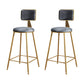 Glam Metal Upholstered Barstool Bristol Bar Stool with Iron Legs and Cushion Low Back Grey 2 Piece Set Counter Stool(26"H) Clearhalo 'Bar Furniture' 'Bar Stools' 'bar_stools' 'furn' 'furn_bar_stools' 'furniture_bar_stools' 'Kitchen & Dining Furniture' 'kitchen&dining_furn' 'kitchen' 'kitchen_furn' Furniture' 4536790