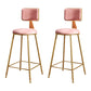 Glam Metal Upholstered Barstool Bristol Bar Stool with Iron Legs and Cushion Low Back Pink 2 Piece Set Counter Stool(26"H) Clearhalo 'Bar Furniture' 'Bar Stools' 'bar_stools' 'furn' 'furn_bar_stools' 'furniture_bar_stools' 'Kitchen & Dining Furniture' 'kitchen&dining_furn' 'kitchen' 'kitchen_furn' Furniture' 4536792