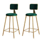 Glam Metal Upholstered Barstool Bristol Bar Stool with Iron Legs and Cushion Low Back Green 2 Piece Set Counter Stool(26"H) Clearhalo 'Bar Furniture' 'Bar Stools' 'bar_stools' 'furn' 'furn_bar_stools' 'furniture_bar_stools' 'Kitchen & Dining Furniture' 'kitchen&dining_furn' 'kitchen' 'kitchen_furn' Furniture' 4536796