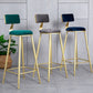 Glam Metal Upholstered Barstool Living Room Bar Stool with Low Back and Cushion Clearhalo 'Bar Furniture' 'Bar Stools' 'bar_stools' 'furn' 'furn_bar_stools' 'furniture_bar_stools' 'Kitchen & Dining Furniture' 'kitchen&dining_furn' 'kitchen' 'kitchen_furn' Furniture' 4536833