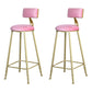 Glam Metal Upholstered Barstool Living Room Bar Stool with Low Back and Cushion Pink 2 Piece Set Clearhalo 'Bar Furniture' 'Bar Stools' 'bar_stools' 'furn' 'furn_bar_stools' 'furniture_bar_stools' 'Kitchen & Dining Furniture' 'kitchen&dining_furn' 'kitchen' 'kitchen_furn' Furniture' 4536836