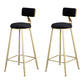 Glam Metal Upholstered Barstool Living Room Bar Stool with Low Back and Cushion Black 2 Piece Set Clearhalo 'Bar Furniture' 'Bar Stools' 'bar_stools' 'furn' 'furn_bar_stools' 'furniture_bar_stools' 'Kitchen & Dining Furniture' 'kitchen&dining_furn' 'kitchen' 'kitchen_furn' Furniture' 4536838
