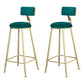 Glam Metal Upholstered Barstool Living Room Bar Stool with Low Back and Cushion Green 2 Piece Set Clearhalo 'Bar Furniture' 'Bar Stools' 'bar_stools' 'furn' 'furn_bar_stools' 'furniture_bar_stools' 'Kitchen & Dining Furniture' 'kitchen&dining_furn' 'kitchen' 'kitchen_furn' Furniture' 4536840