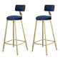Glam Metal Upholstered Barstool Living Room Bar Stool with Low Back and Cushion Blue 2 Piece Set Clearhalo 'Bar Furniture' 'Bar Stools' 'bar_stools' 'furn' 'furn_bar_stools' 'furniture_bar_stools' 'Kitchen & Dining Furniture' 'kitchen&dining_furn' 'kitchen' 'kitchen_furn' Furniture' 4536841
