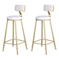 Glam Metal Upholstered Barstool Living Room Bar Stool with Low Back and Cushion White 2 Piece Set Clearhalo 'Bar Furniture' 'Bar Stools' 'bar_stools' 'furn' 'furn_bar_stools' 'furniture_bar_stools' 'Kitchen & Dining Furniture' 'kitchen&dining_furn' 'kitchen' 'kitchen_furn' Furniture' 4536842