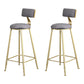 Glam Metal Upholstered Barstool Living Room Bar Stool with Low Back and Cushion Grey 2 Piece Set Clearhalo 'Bar Furniture' 'Bar Stools' 'bar_stools' 'furn' 'furn_bar_stools' 'furniture_bar_stools' 'Kitchen & Dining Furniture' 'kitchen&dining_furn' 'kitchen' 'kitchen_furn' Furniture' 4536843